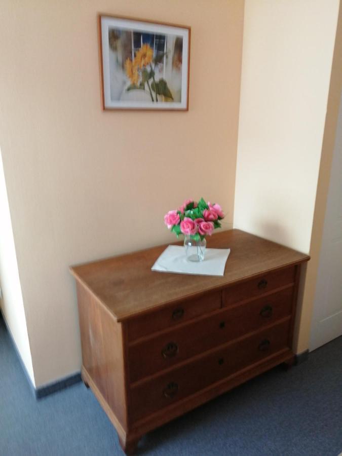 Apartmany Cesky Dvur มาเรียอานซเกลาซนี ภายนอก รูปภาพ
